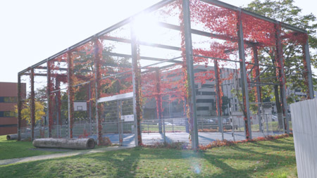 Mateřská škola Tusarova - Jak to u nás vypadá 