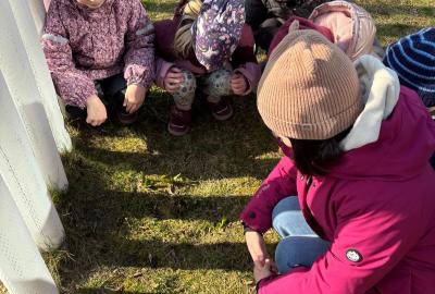 Sázení jarních kytiček u zahrady