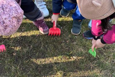 Sázení jarních kytiček u zahrady