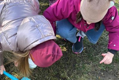 Sázení jarních kytiček u zahrady