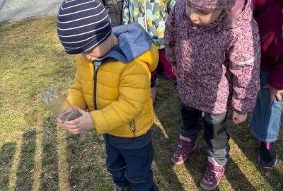 Sázení jarních kytiček u zahrady