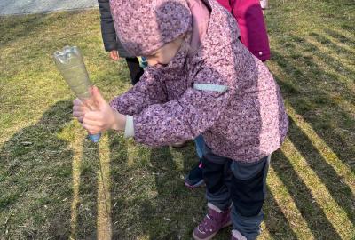 Sázení jarních kytiček u zahrady