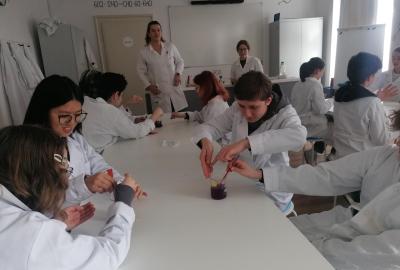 Exkurze do centra Didaktikon